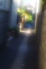 家へ帰る道