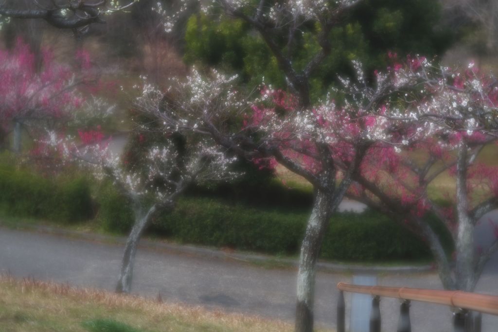  ウイークデー閑散　