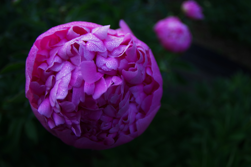 折りたたむの大変なんだから・・・　
