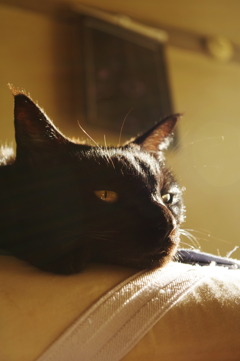 日向ぼっこ最高❤