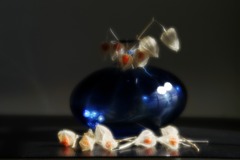 死して美を残す