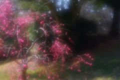 春に浮かれる小枝達♬ IMGP2119