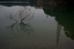 シンメトリー・・・かな？