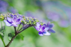 満面の笑み　 IMGP9318