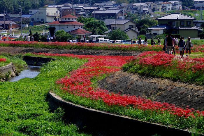 矢勝の流れ