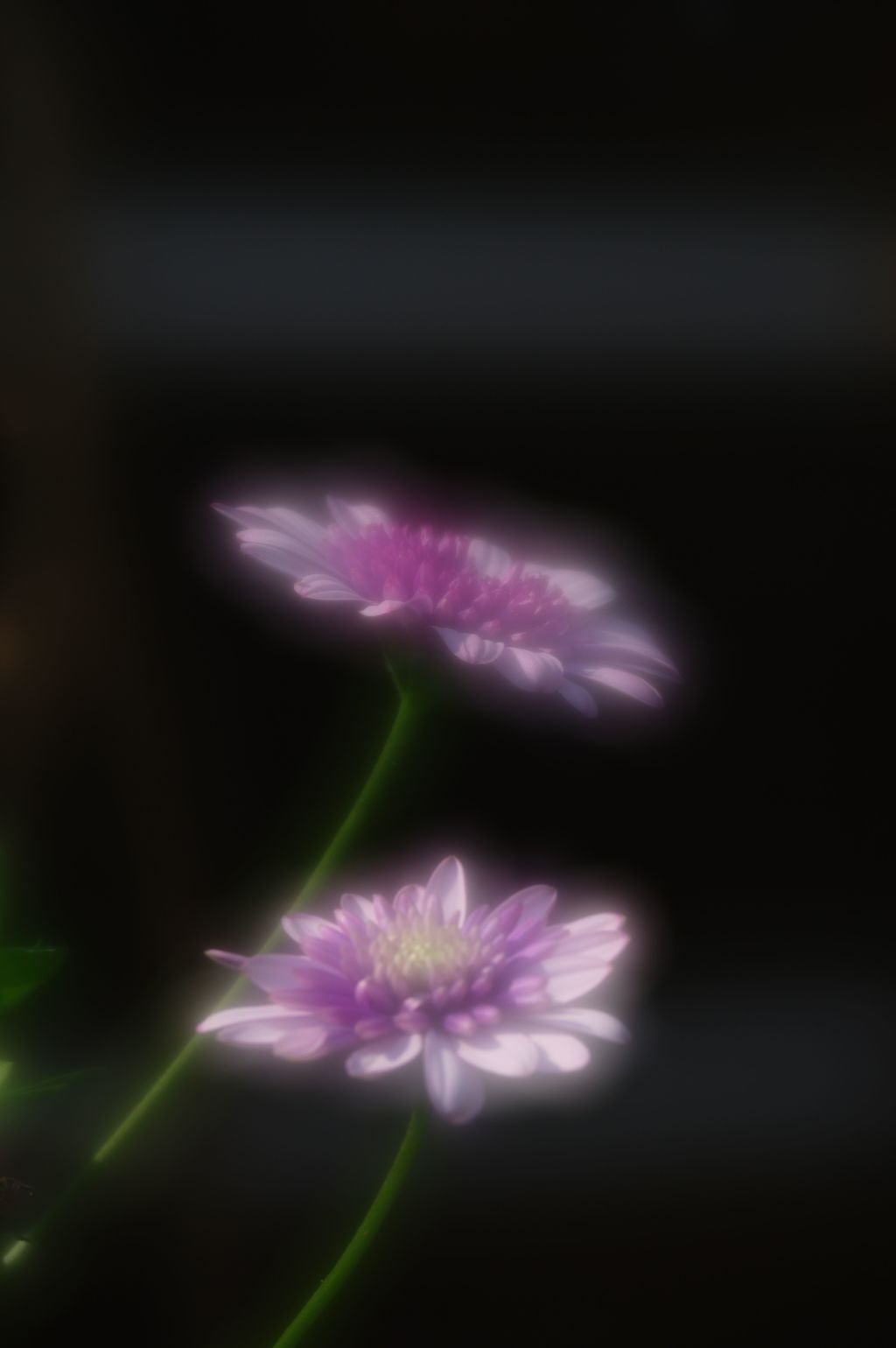 仲良しⅡ
