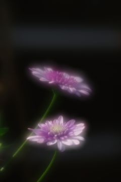 仲良しⅡ