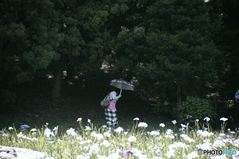 あっ！蚊が。。。