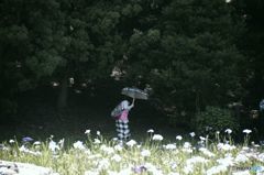 あっ！蚊が。。。