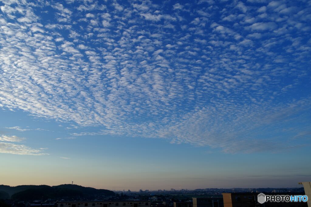 散りばめられた雲