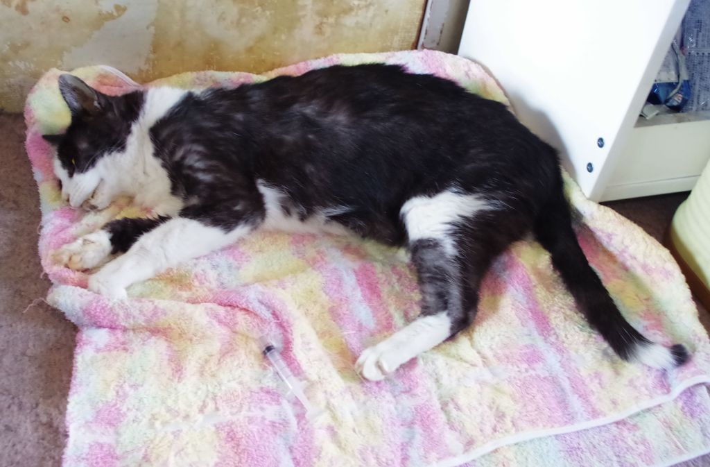 まさか君が逝くとは