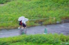 仲良し二人雨にも負けず