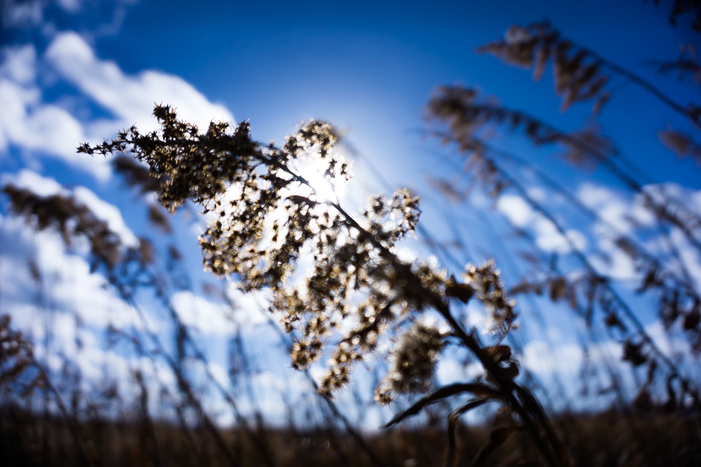 20150118-DSC00207-1