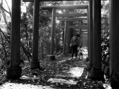 落ち葉とお散歩