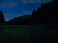 初夏の夜更け