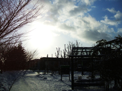雪道