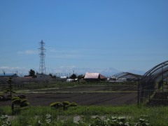 近所の田んぼ