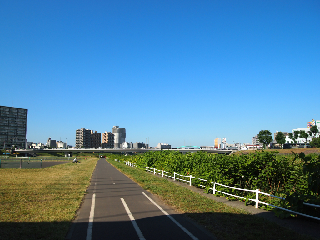 これ撮ってる間太陽に殺されるかと思いました。