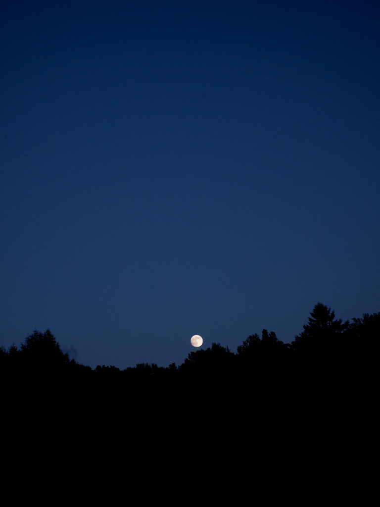 hurru up! running moon