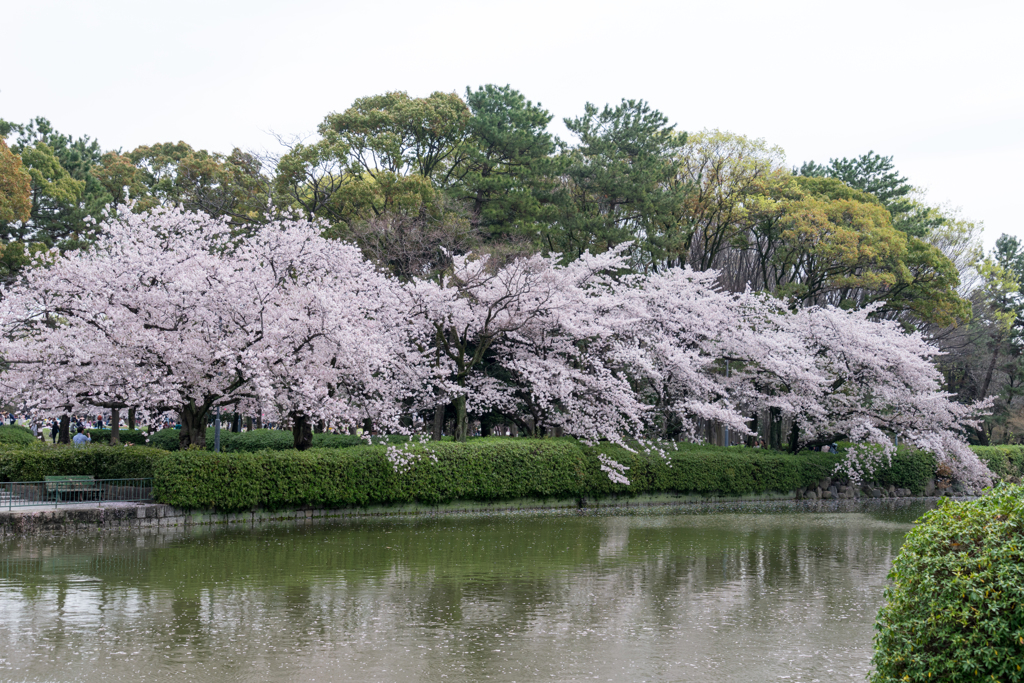 名城公園２