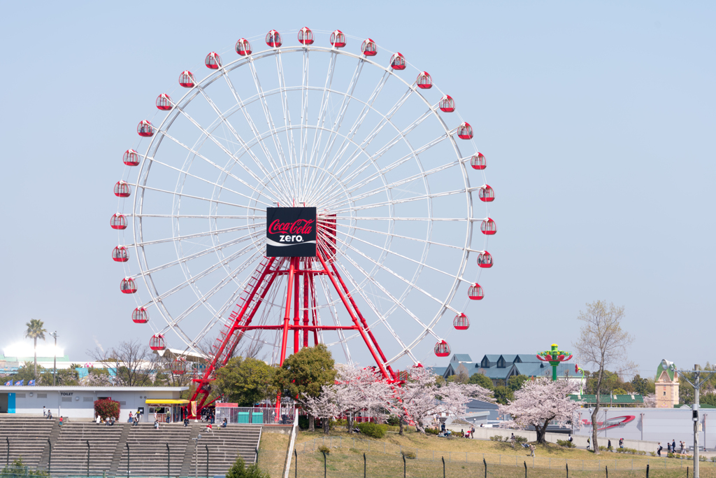 観覧車と桜①