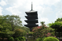 東寺①