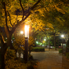 名古屋城周辺A