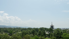 県庁からの眺め