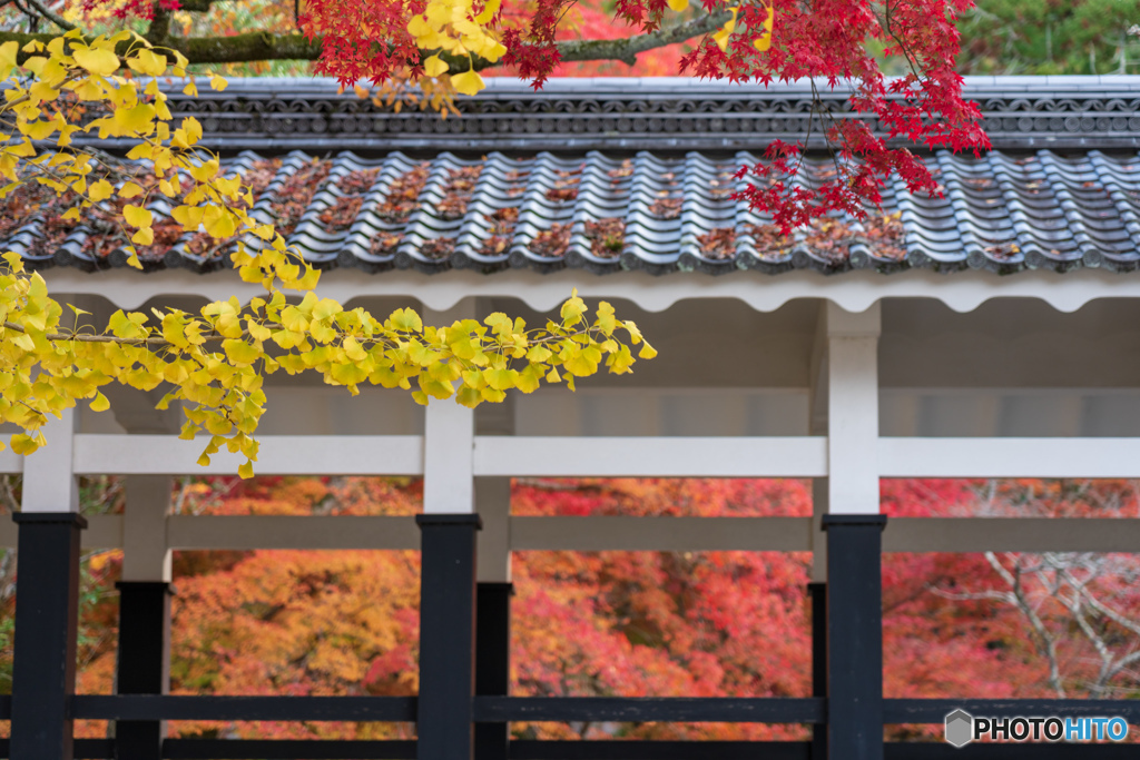 南禅寺3