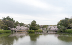 名城公園１