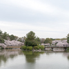名城公園１