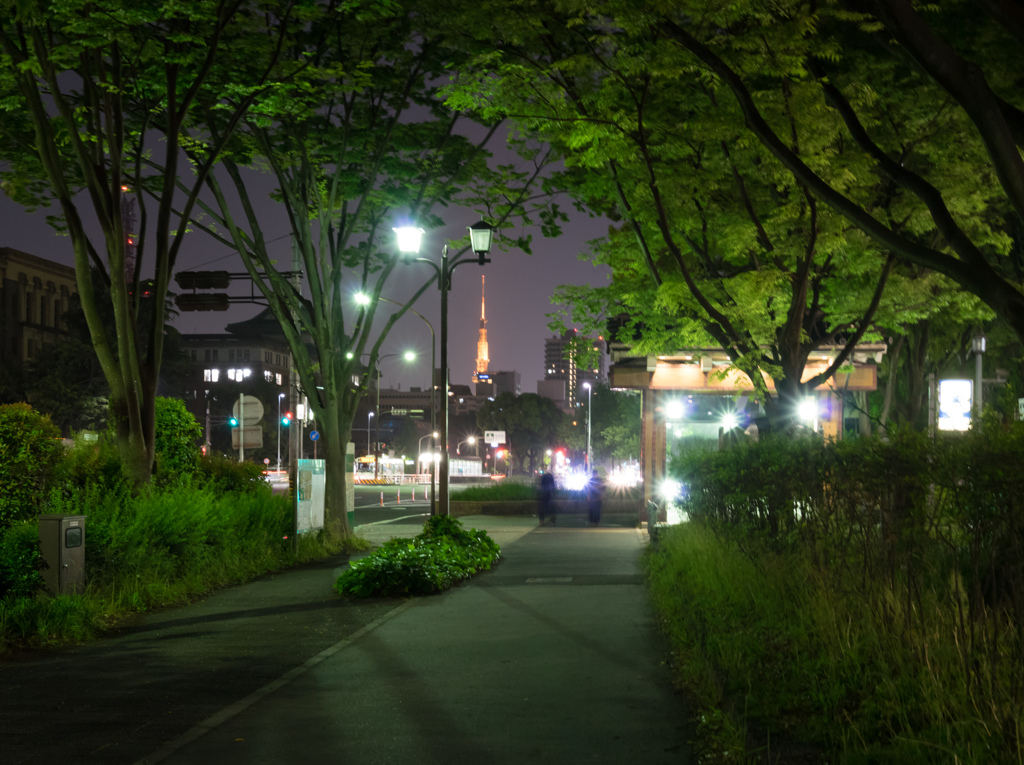 お城からのテレビ塔