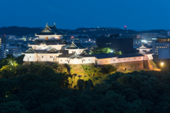 薄暮の和歌山城