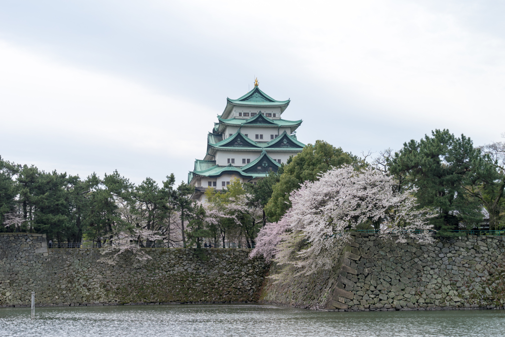 さくらと天守閣