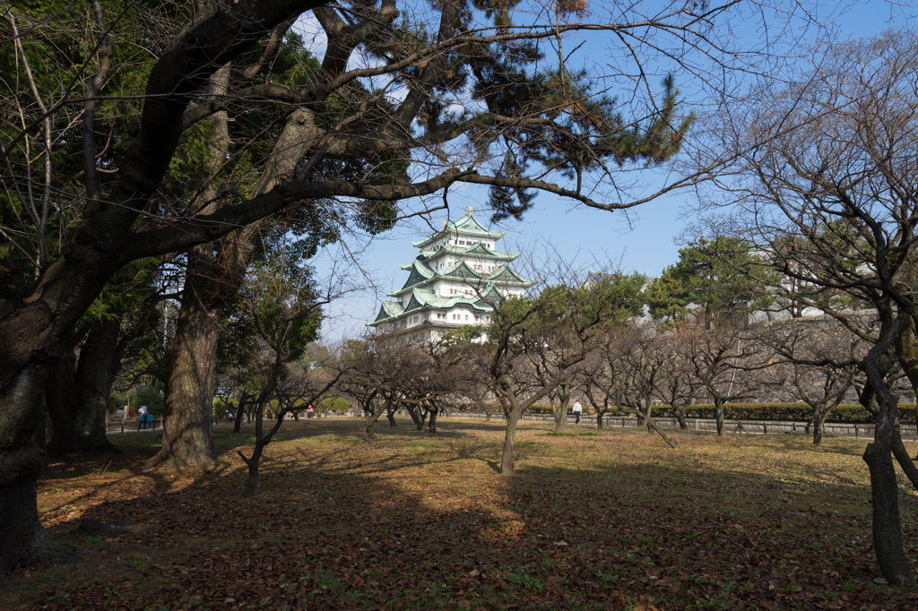 本丸からの天守