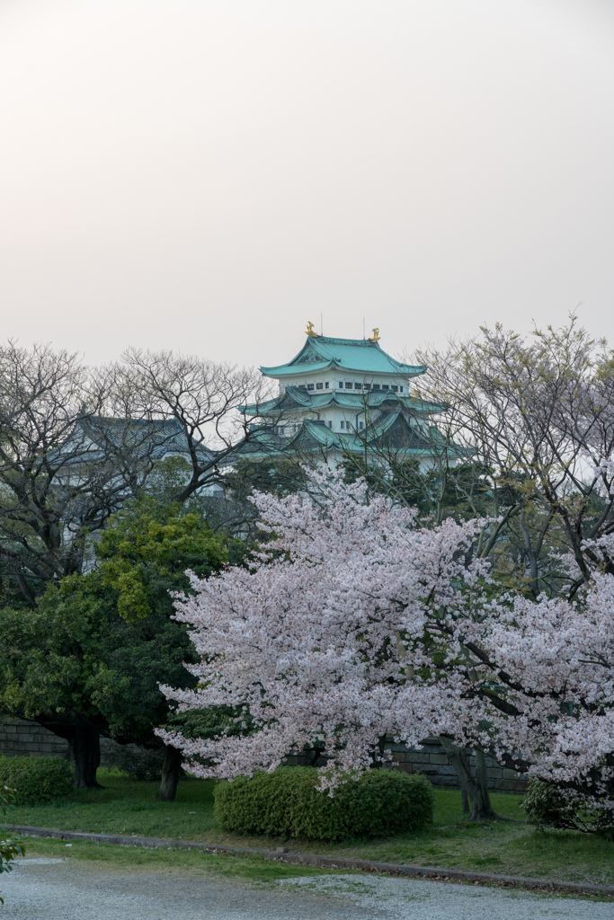 夕暮れの名古屋城