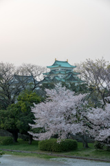 夕暮れの名古屋城