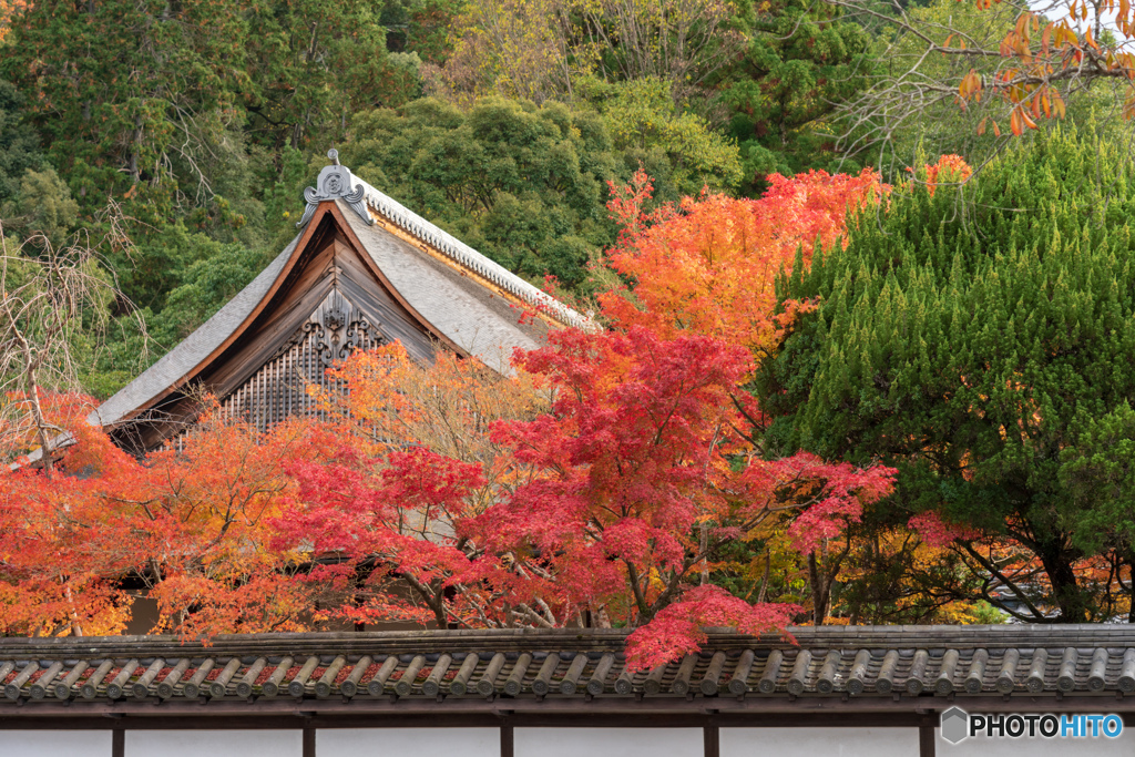 南禅寺