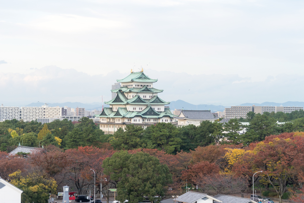 いつもとは違う場所で