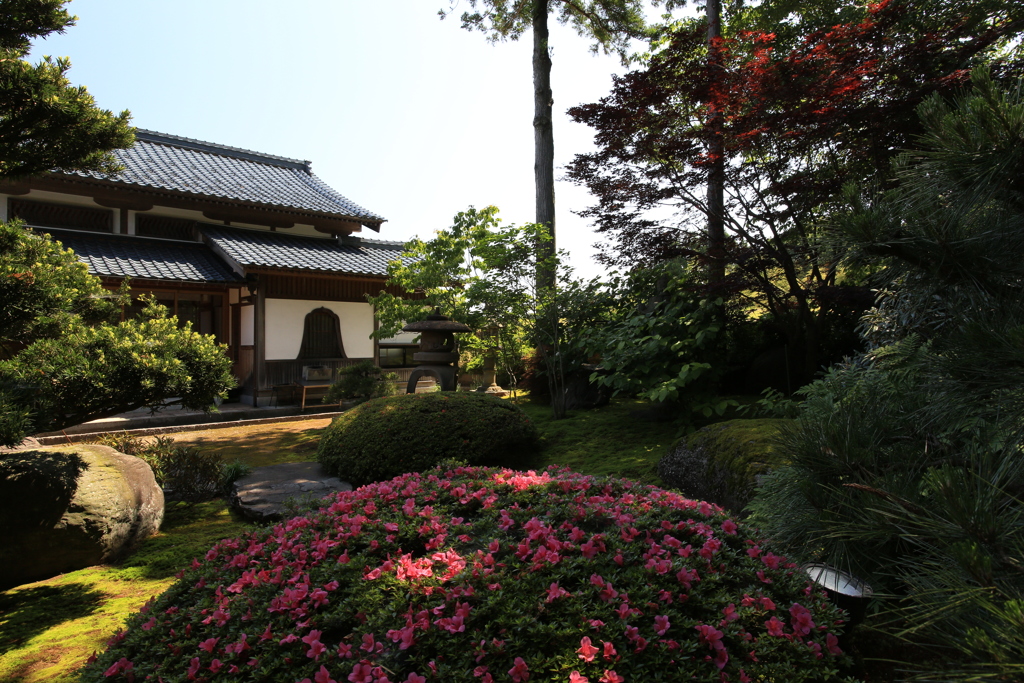 Japanese Garden 