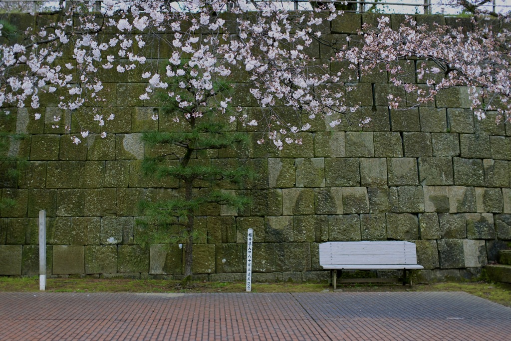 静寂