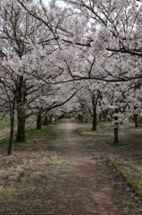 福井県立大学