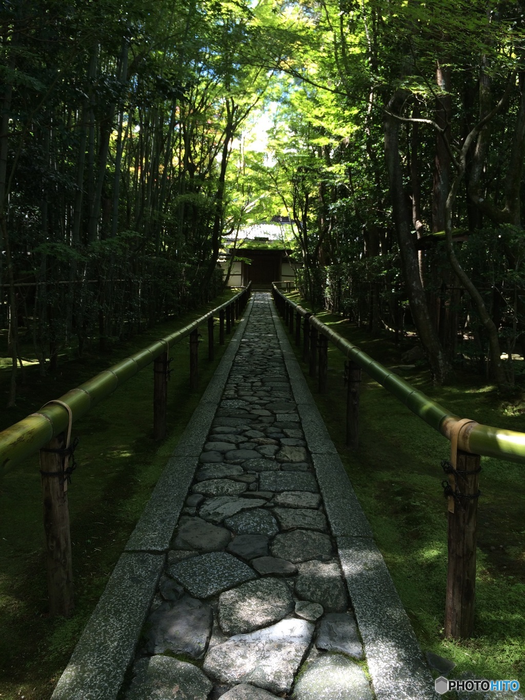 京都紫野 大徳寺 高桐院