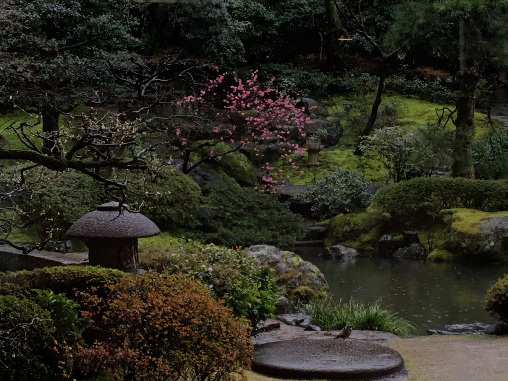 菜種梅雨