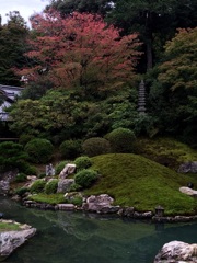 京都 青蓮院
