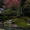 京都 青蓮院