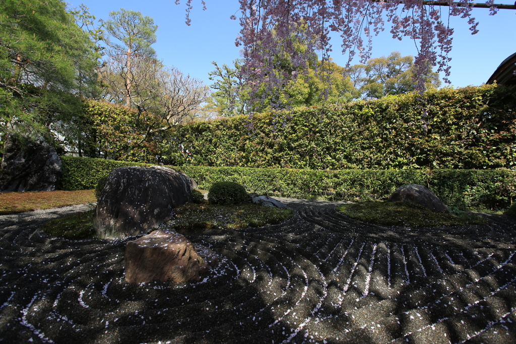 枯山水庭園