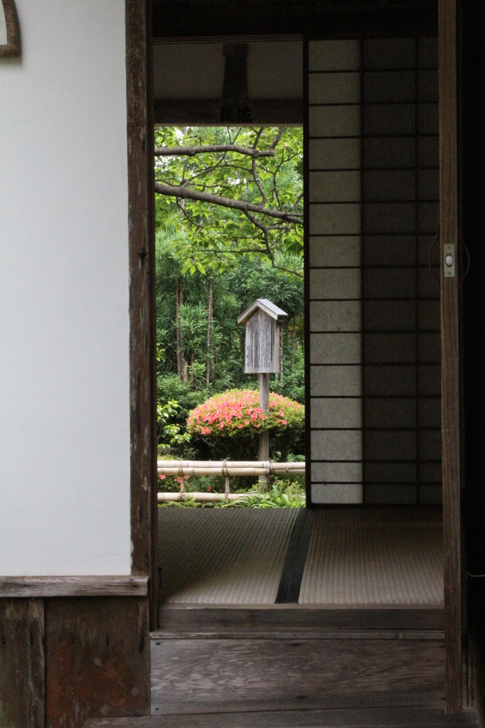 庭園のつつじを眺める
