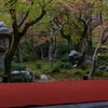 晩秋のひととき