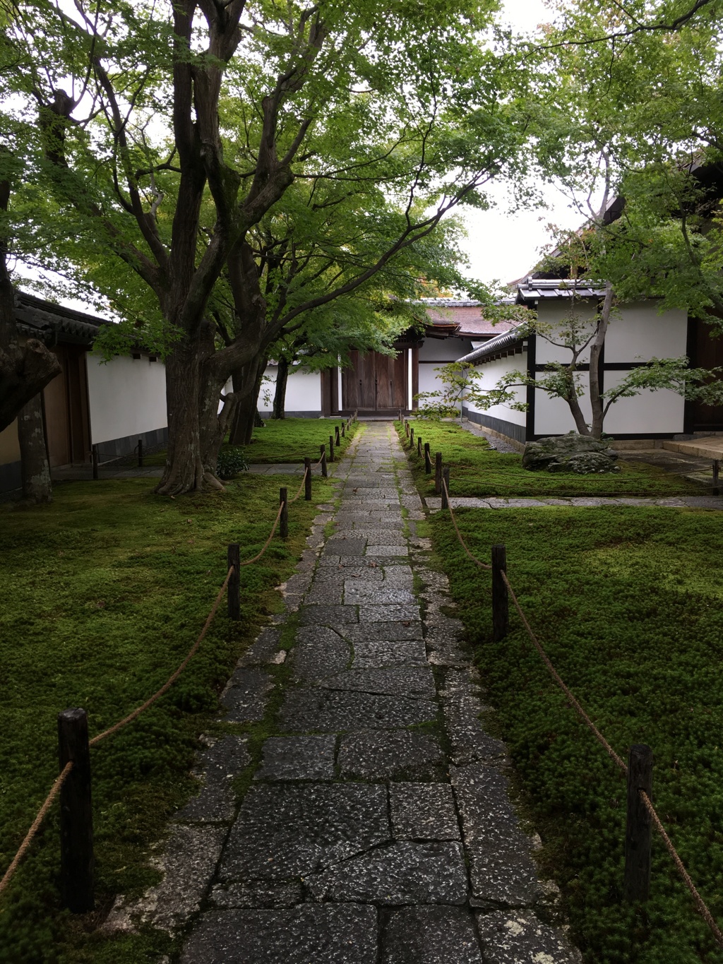 彩ずくまえ…